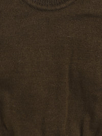 Back Dog Pullover Brown color for baby boy